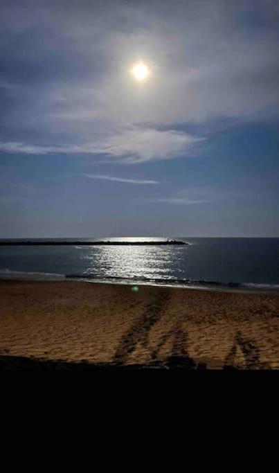 Studio Climatise Proche De Montpellier Et Des Plages Villeneuve-lès-Maguelonne Eksteriør billede